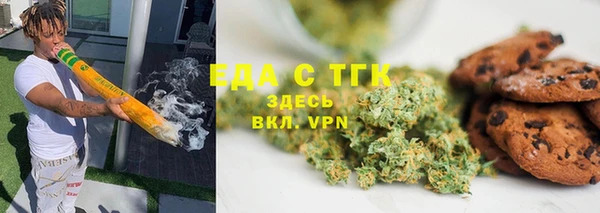 гидра Богородицк