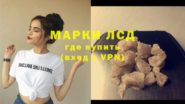стаф Баксан