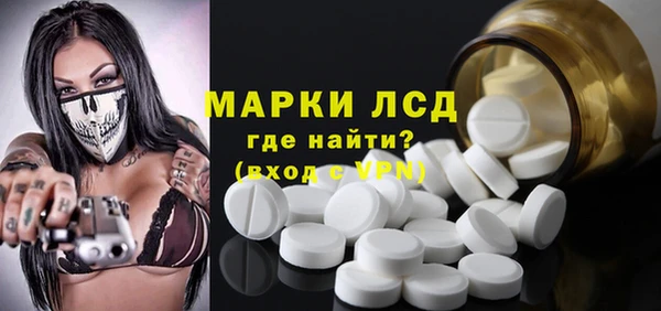 стаф Баксан