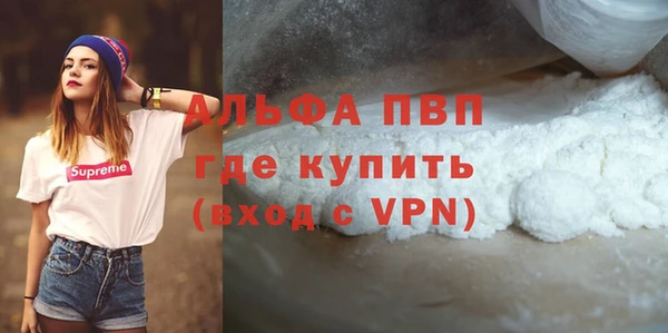 дмт Богданович