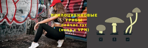 гидра Богородицк