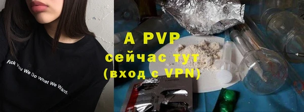 дмт Богданович