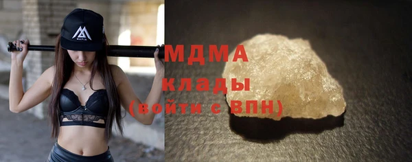 гидра Богородицк