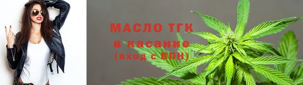 гидра Богородицк