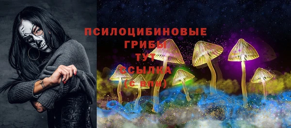 дмт Богданович