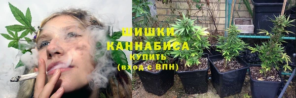 гидра Богородицк