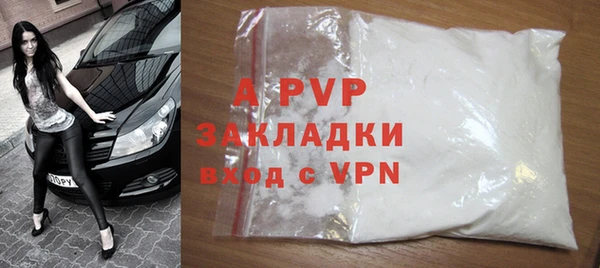 гидра Богородицк
