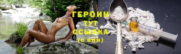 дурь Бородино