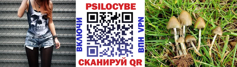 Псилоцибиновые грибы мухоморы  Давлеканово 